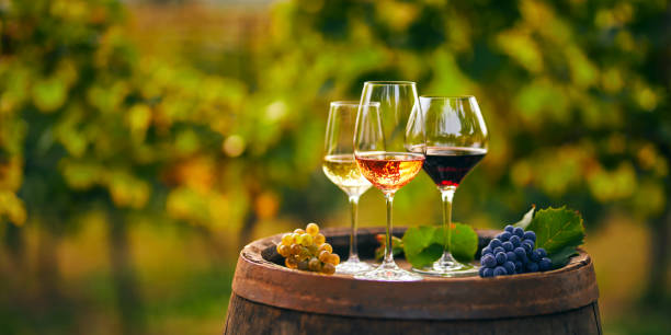 All Wine