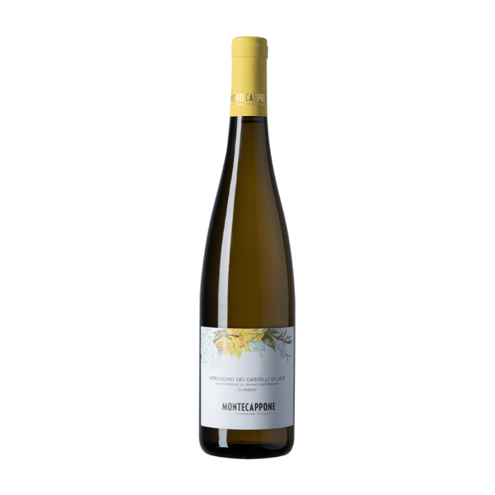 Montecappone Verdicchio 2021